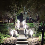 Photo n°10 de l'avis de Luis.o fait le 03/01/2023 à 22:59 sur le  Montes de Argila à Montargil