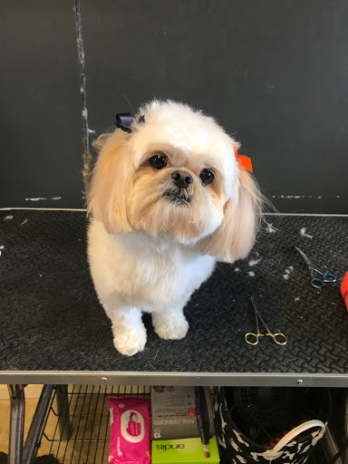 Groomingdales Pet Spa, LLC.