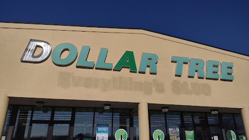 Dollar Store «Dollar Tree», reviews and photos, 1633 E M 21, Owosso, MI 48867, USA