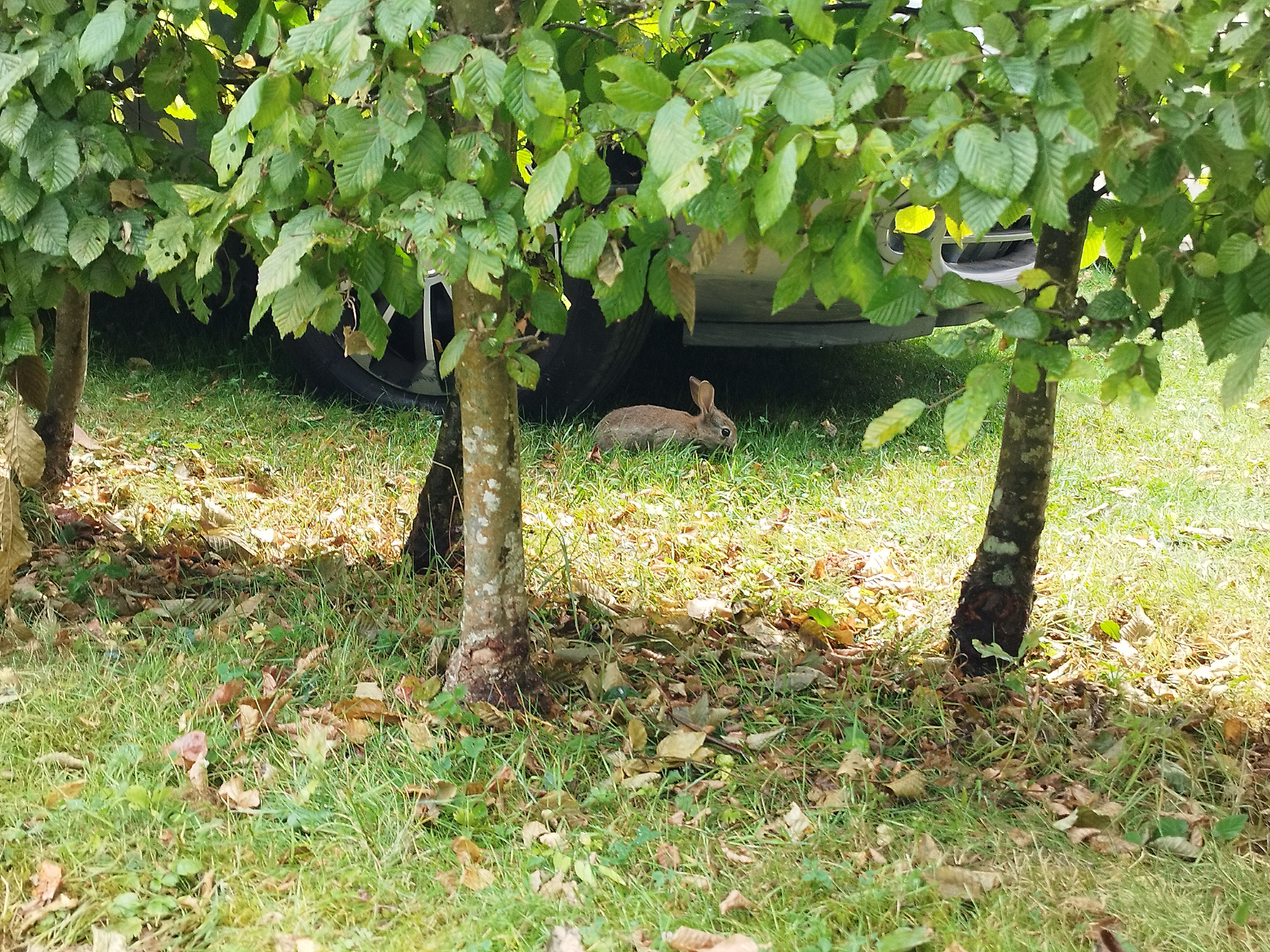 Photo n° 2 de l'avis de Julien.C fait le 17/07/2023 à 16:34