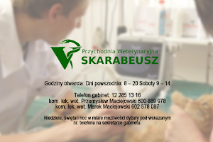 Scarab veterinary clinic. Maciejowski P. image