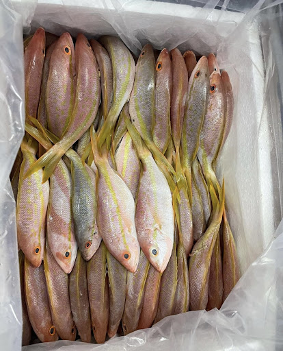 Harish Seafoods Imports Inc.