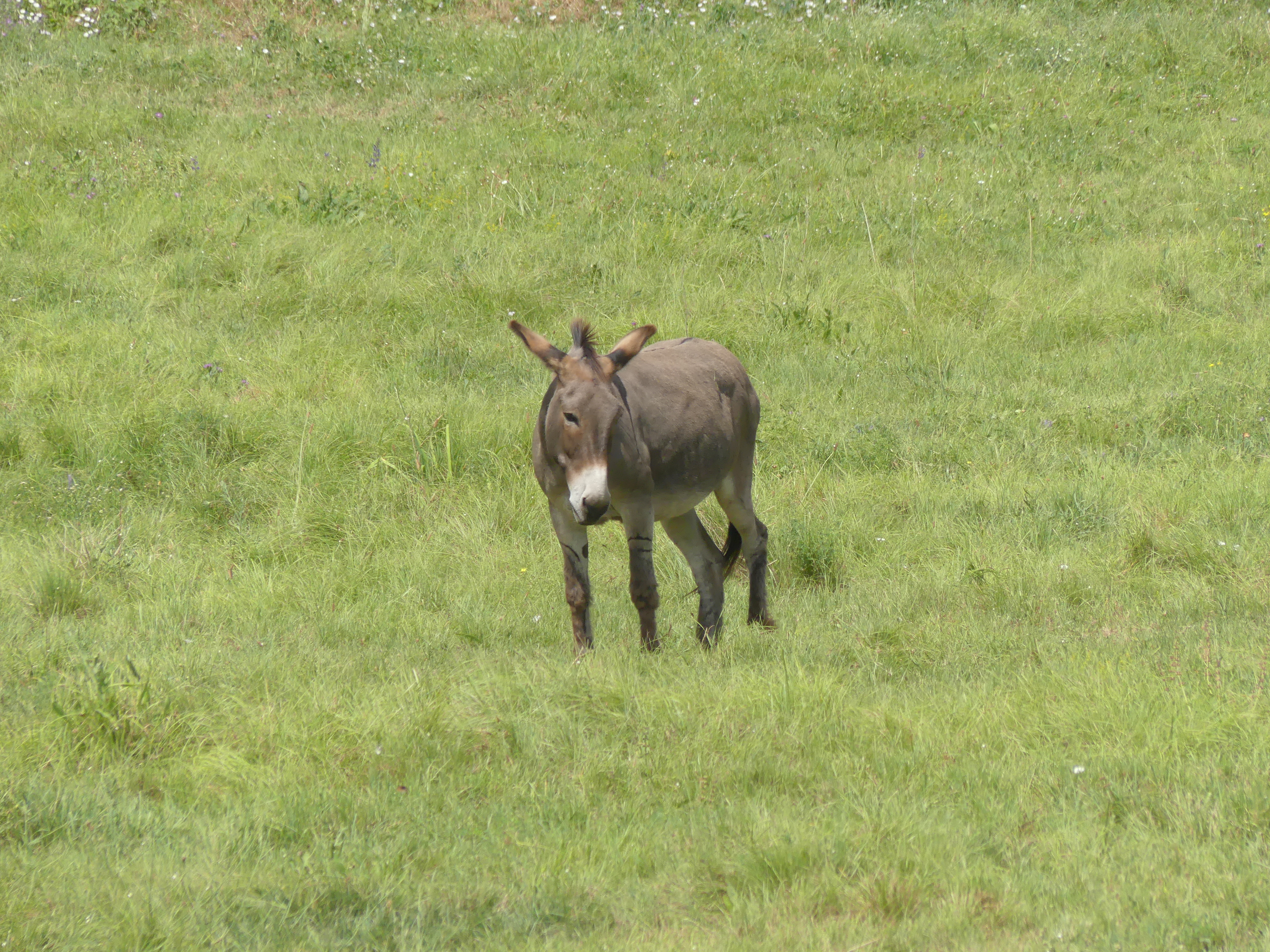Photo n° 11 de l'avis de Patrick.a fait le 20/06/2021 à 17:10
