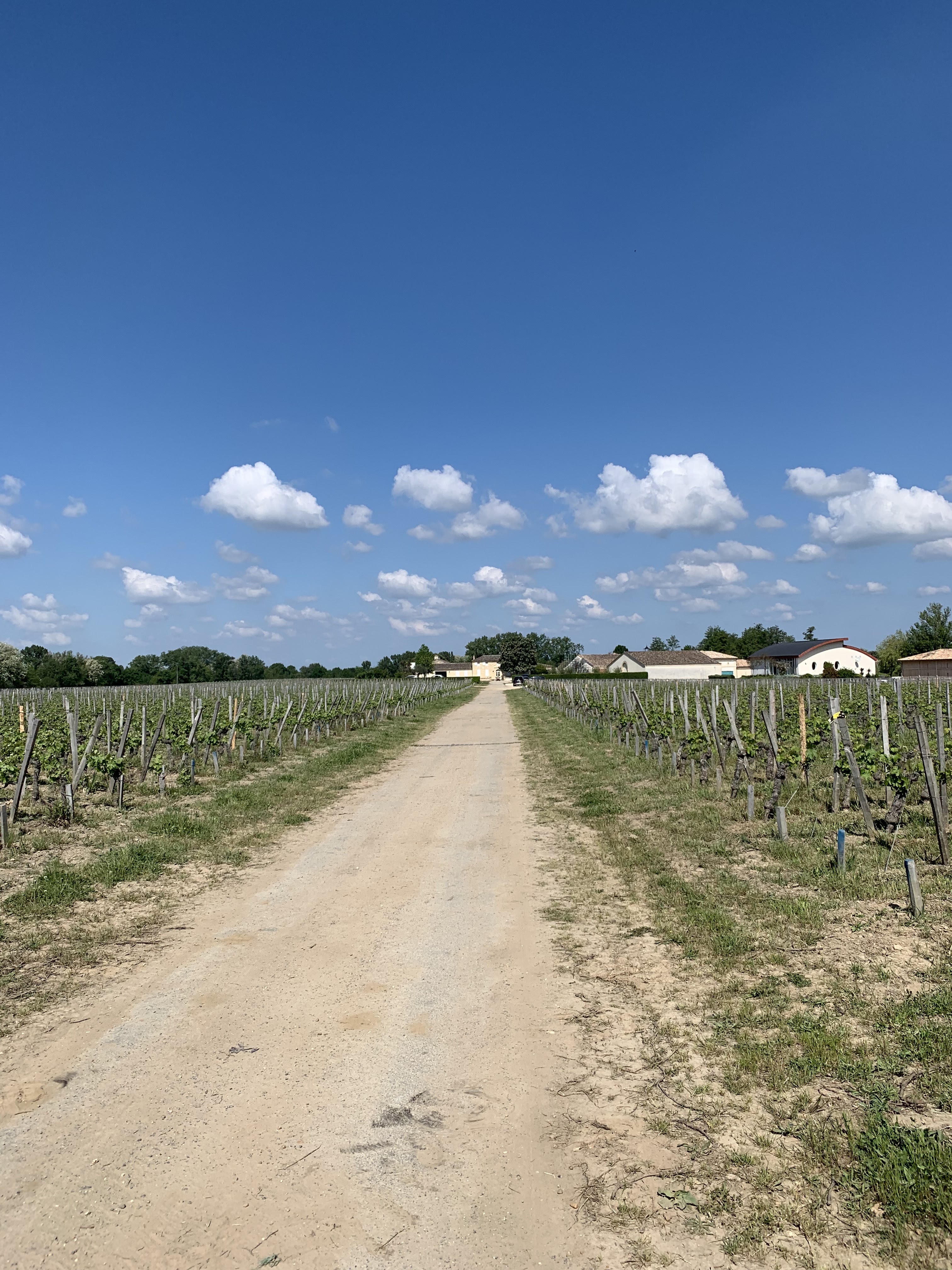 Photo n° 1 de l'avis de francois.a fait le 29/05/2022 à 17:39