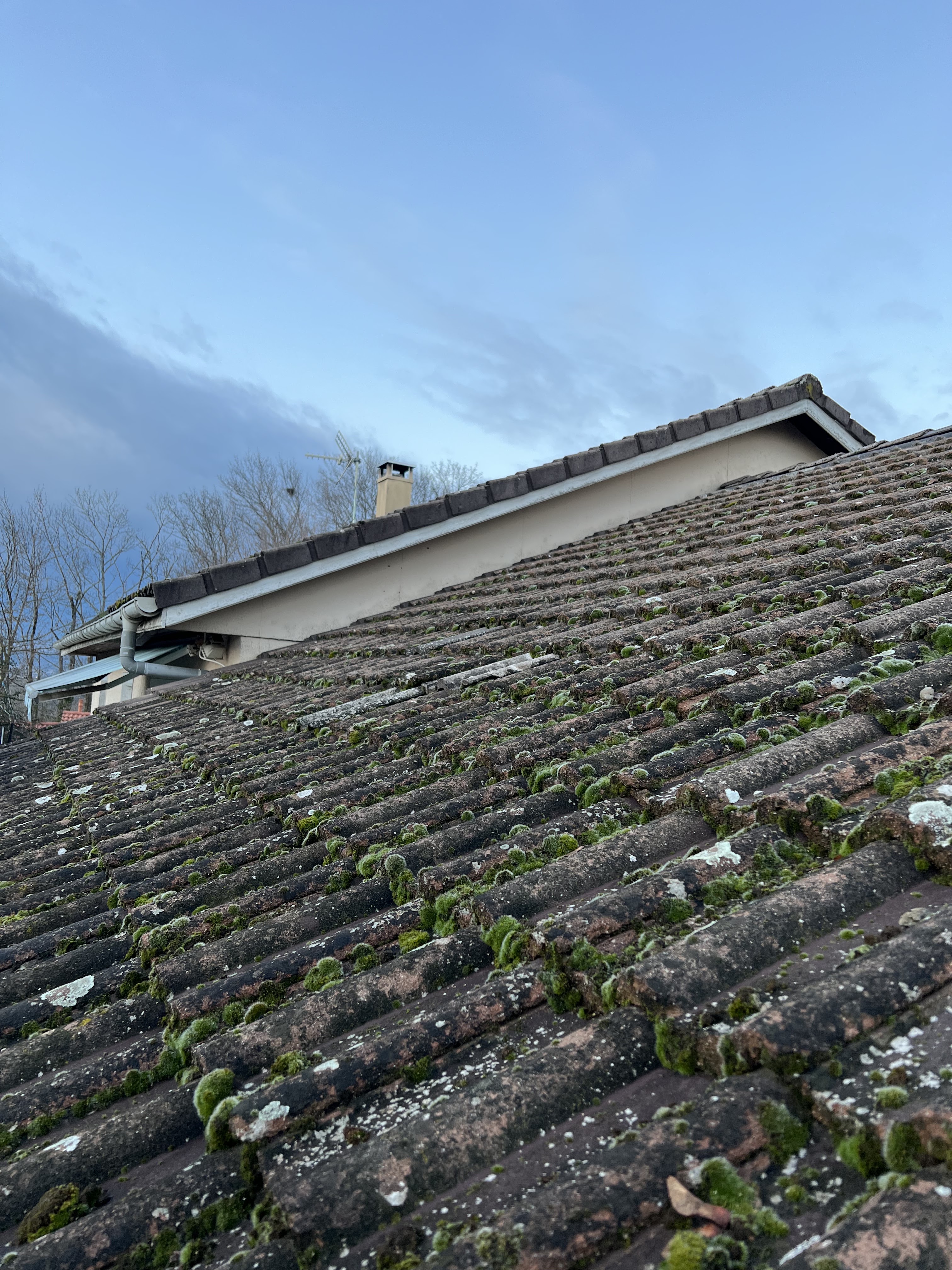 Photo n° 1 de l'avis de Romuald.a fait le 15/02/2023 à 15:20
