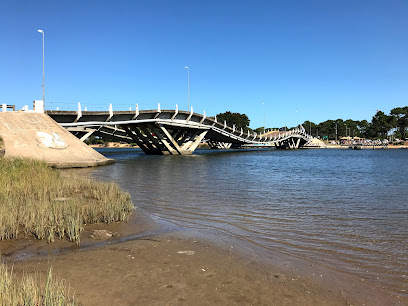 Puente de la Barra Leonel Viera