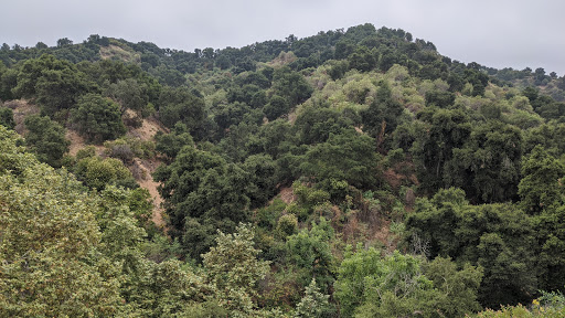 Hacienda Hills Trailhead image