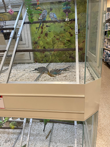 Pet Supply Store «PetSmart», reviews and photos, 6204 W Park Blvd, Plano, TX 75093, USA