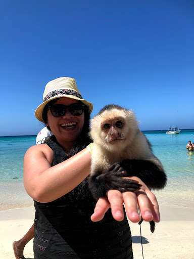 Pet Supply Store «Woof Gang Bakery & Grooming Abacoa», reviews and photos, 5440 Military Trail #7, Jupiter, FL 33458, USA