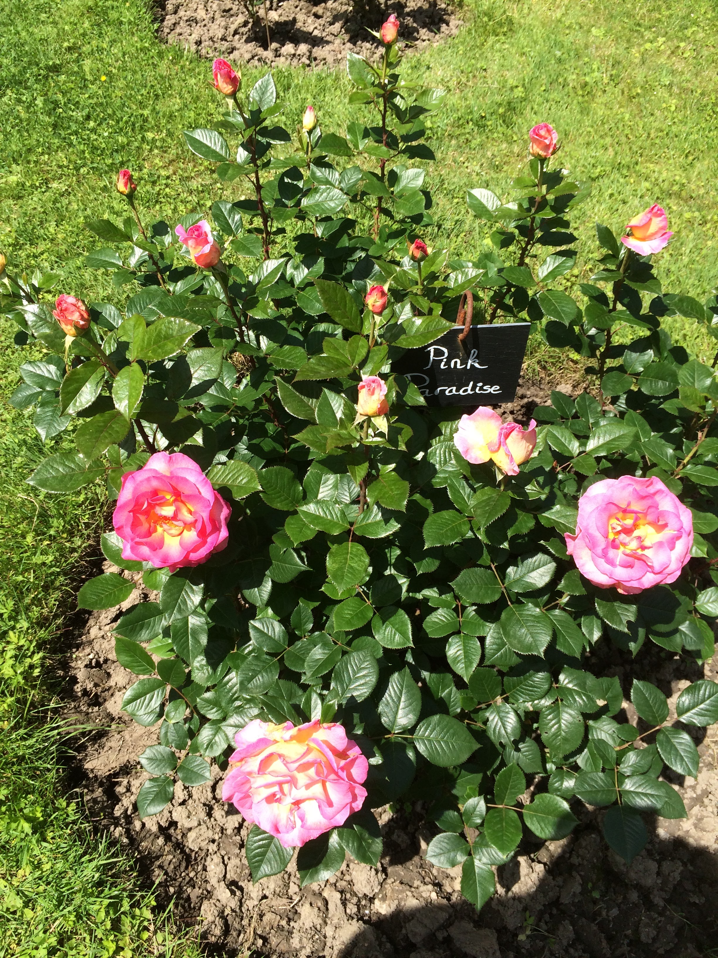 Photo n° 6 de l'avis de Sandrine.O fait le 10/06/2018 à 17:03
