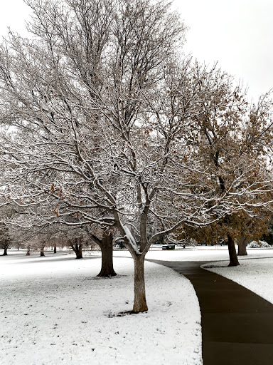 Park «Cheesman Park», reviews and photos, 1599 8th Ave, Denver, CO 80218, USA