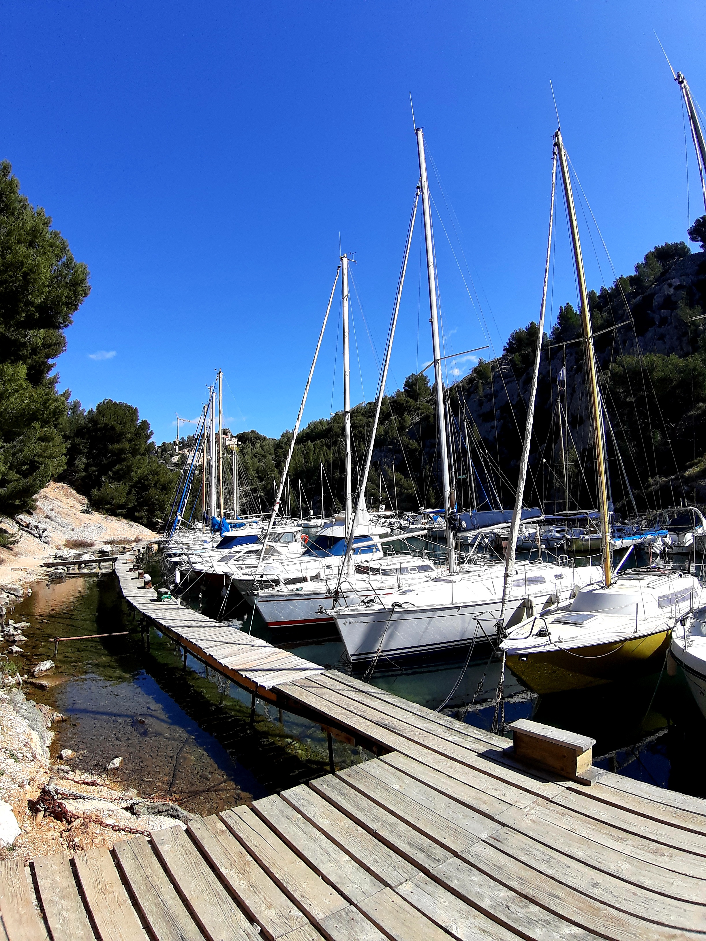 Photo n° 4 de l'avis de Islas.a fait le 27/03/2021 à 17:41
