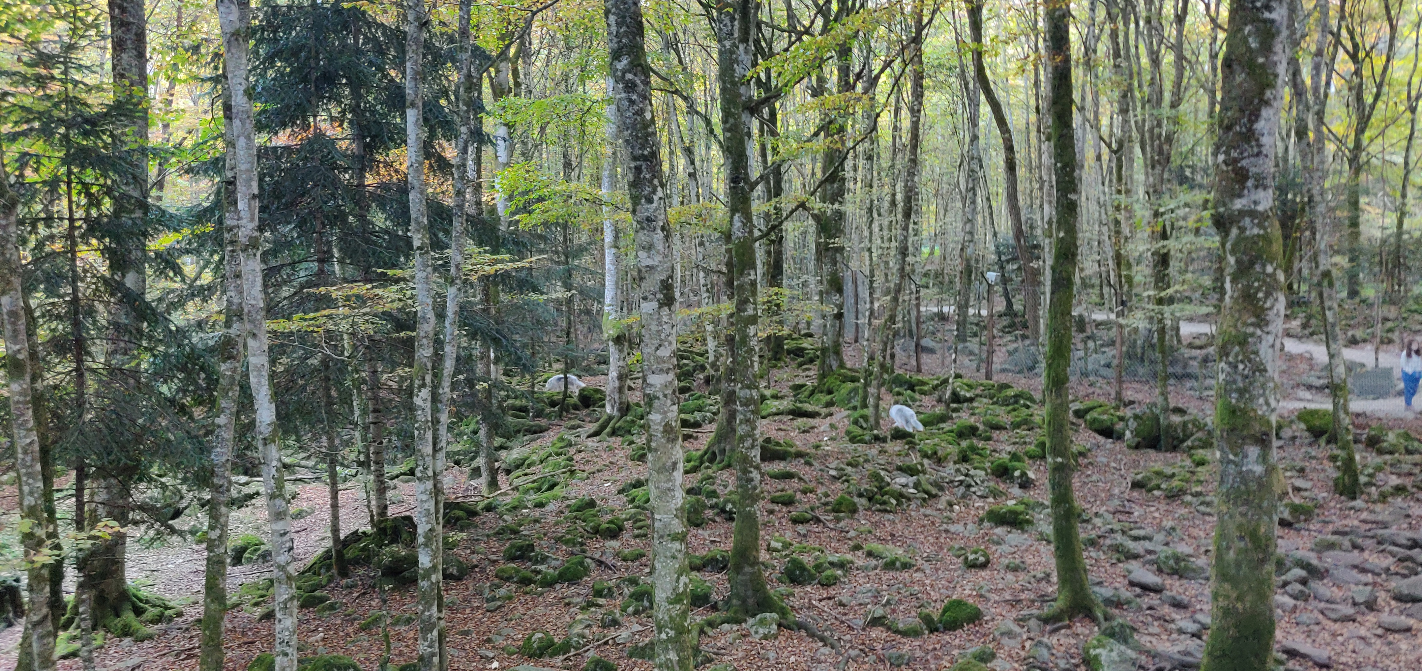 Photo n° 17 de l'avis de Arti.l fait le 29/10/2021 à 16:50