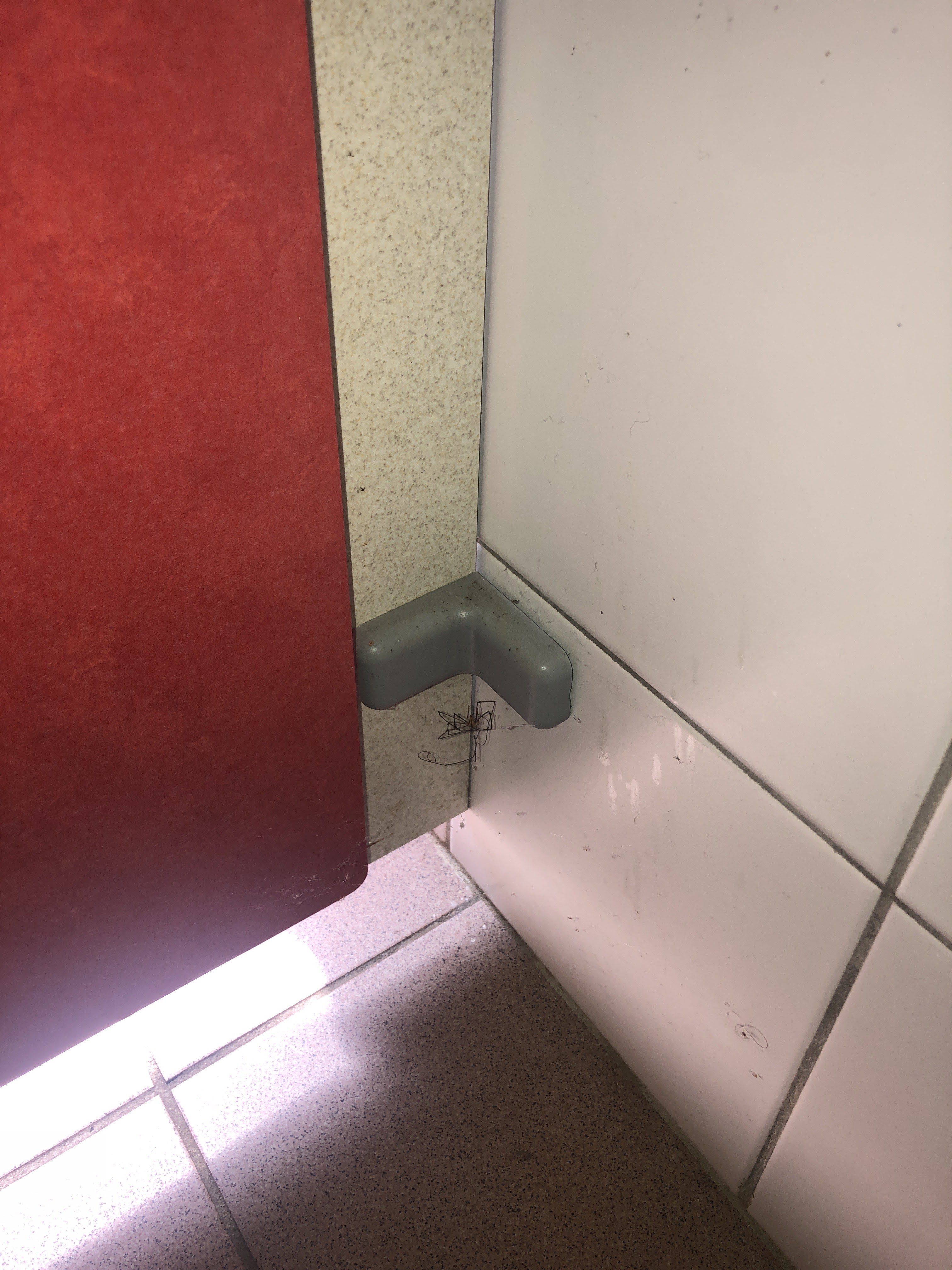 Photo n° 5 de l'avis de Thomas.r fait le 17/08/2023 à 11:46