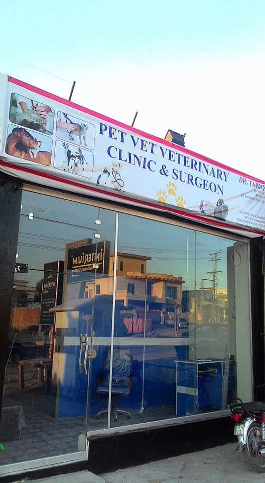 PetVet veterinary Hospital