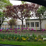 Photo n° 4 de l'avis de Mériame. fait le 24/04/2018 à 22:15 pour École Élémentaire Et Maternelle Aimé Et Eugénie Cotton à Bonneuil-sur-Marne