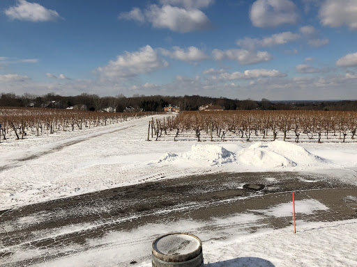 Winery «Casa Larga Vineyards», reviews and photos, 2287 Turk Hill Rd, Fairport, NY 14450, USA