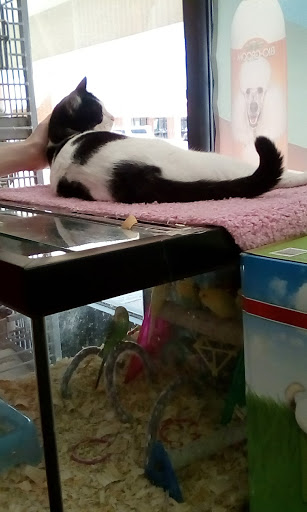 Pet Store «Wet Pets N Critters», reviews and photos, 103 TX-281 Loop, Longview, TX 75605, USA