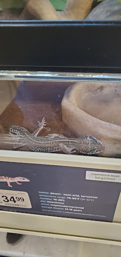 Pet Supply Store «PetSmart», reviews and photos, 1236 Greenbrier Pkwy, Chesapeake, VA 23320, USA