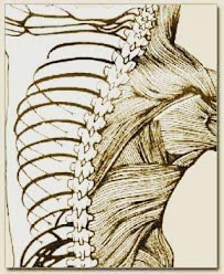 Testimonial Spine & Fitness, LLC - Photo 5 - Car repair in Houston, TX, Houston