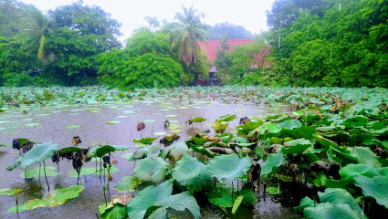 Hình Ảnh Nhà Hàng Đông Hồ Eden