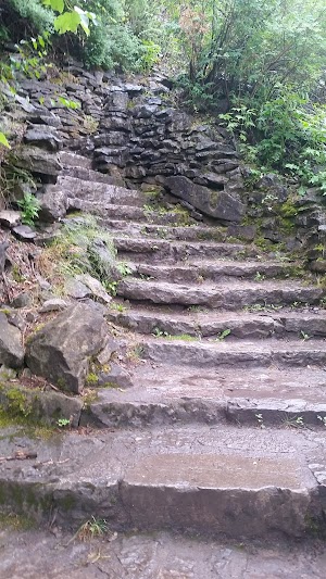 Niagara Gorge Discovery Center - photo 17