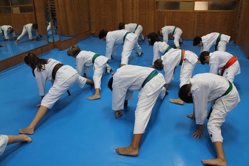 Taekwondo lessons Seville