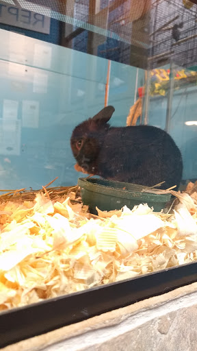 Pet Store «AquaVarium Pets And Supplies», reviews and photos, 95 W Bridge St, Catskill, NY 12414, USA