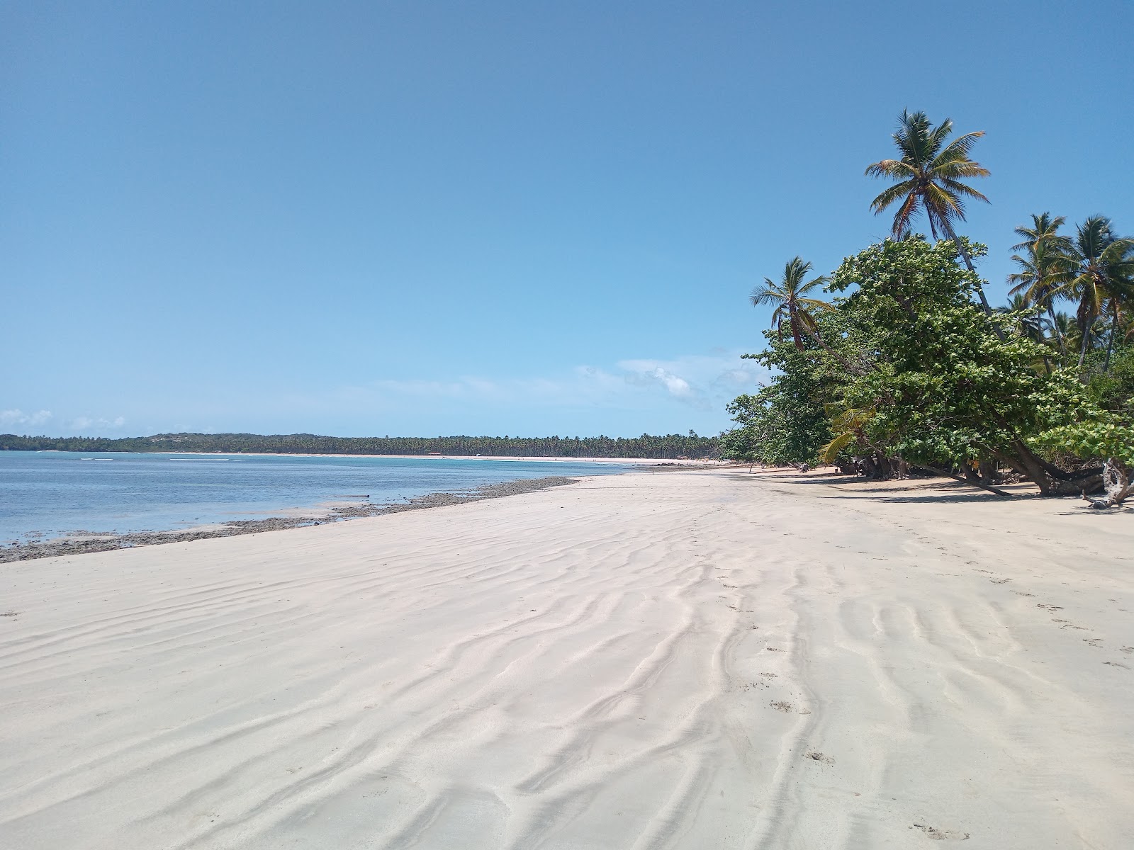 Praia de Tassimirim的照片 具有非常干净级别的清洁度