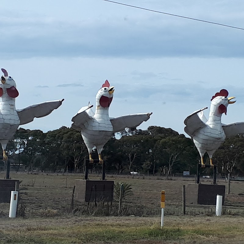 3 Big Hens Statue