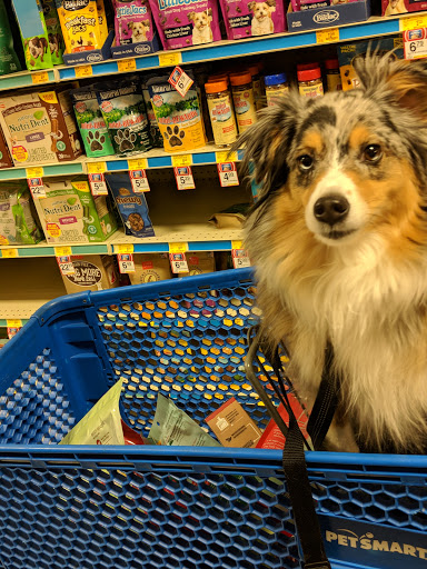 Pet Supply Store «PetSmart», reviews and photos, 3520 S El Camino Real, San Mateo, CA 94403, USA