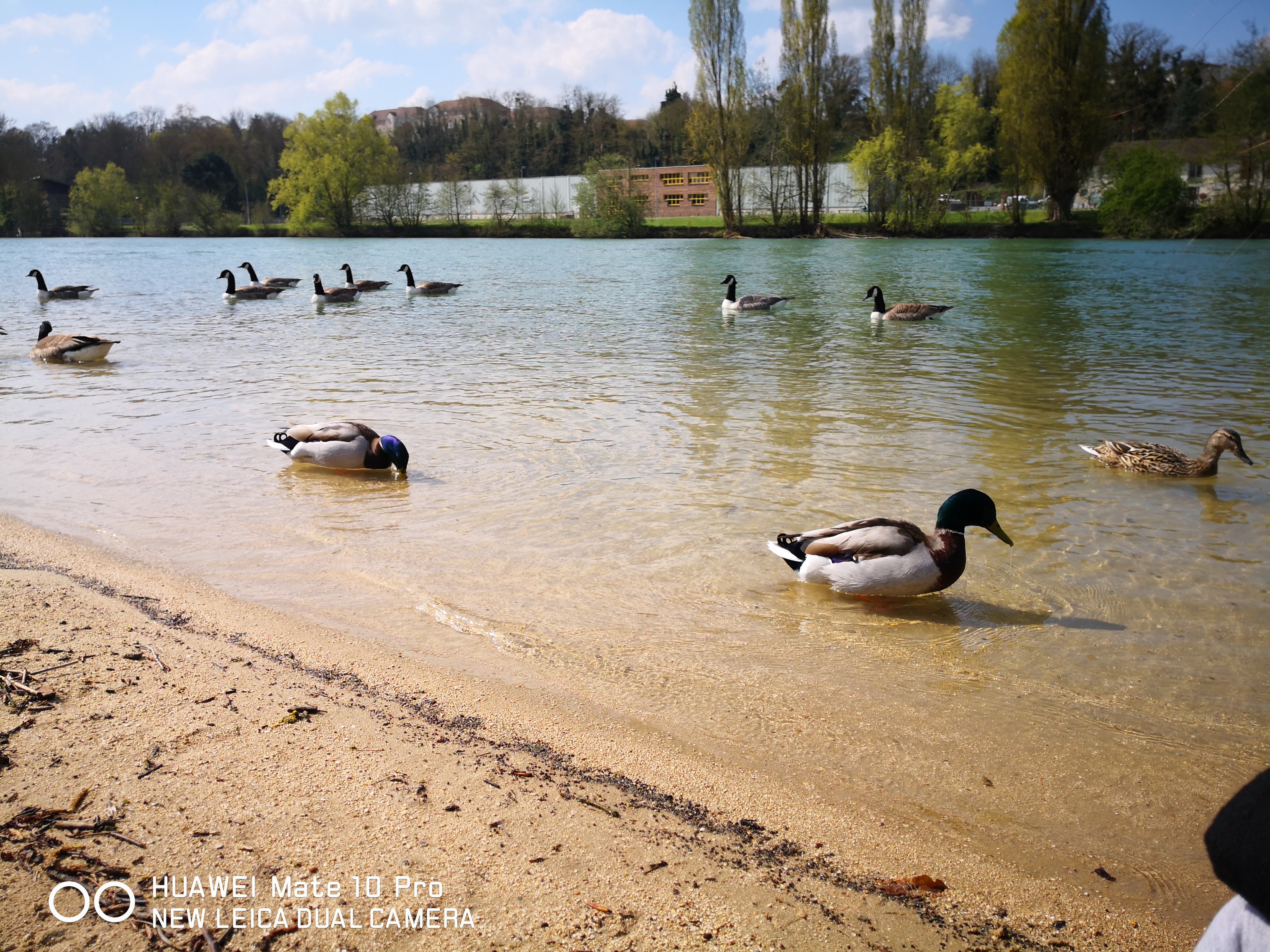 Photo n° 3 de l'avis de John.e fait le 13/04/2019 à 13:12