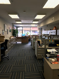 Standard Pest Management - Photo 8 - Car repair in Astoria, NY, New York