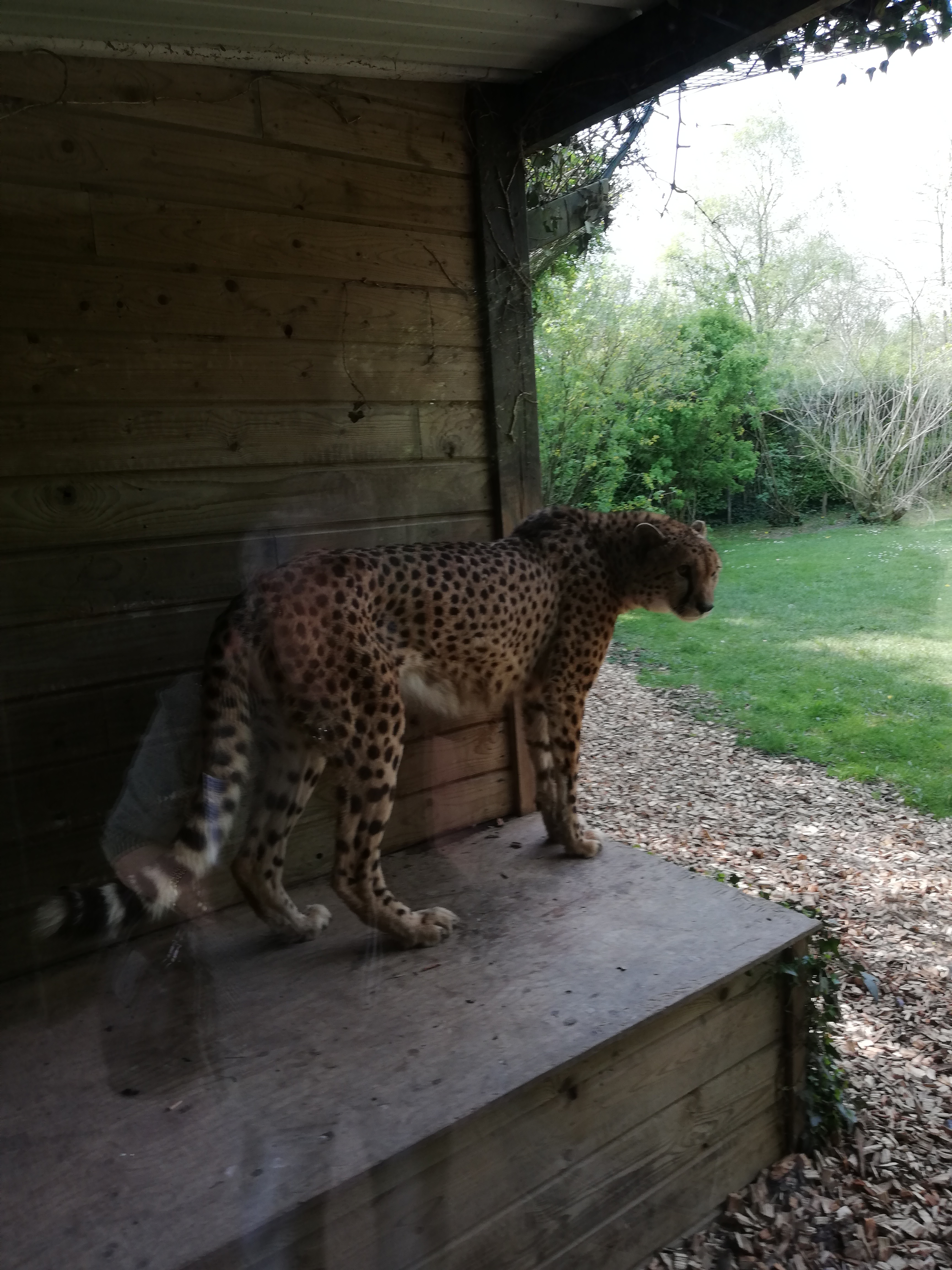 Photo n° 5 de l'avis de Jérôme.z fait le 21/04/2019 à 16:31