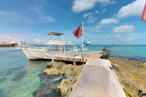 Cayman Diving image