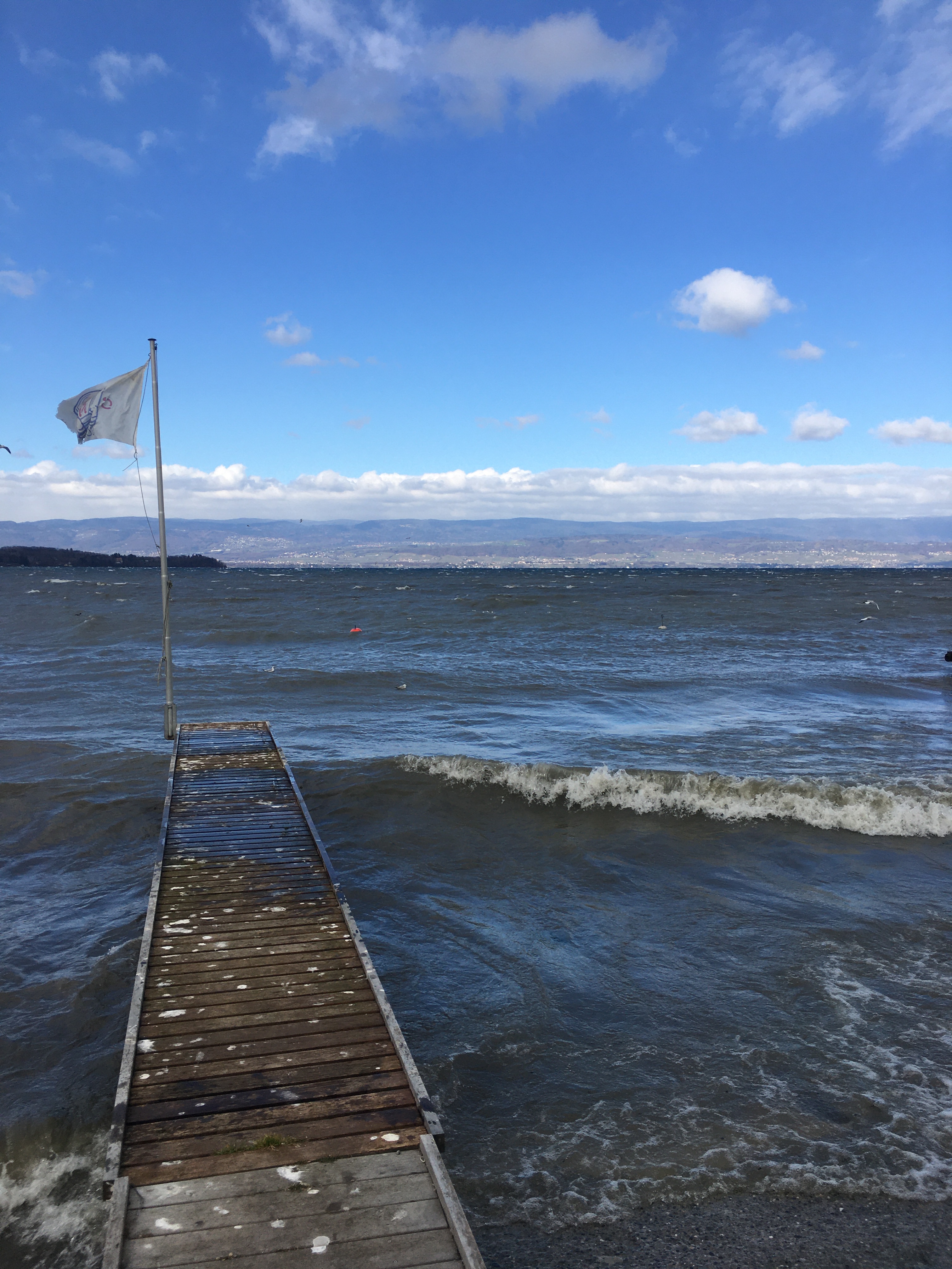 Photo n° 3 de l'avis de TERRE.E fait le 16/05/2022 à 12:27