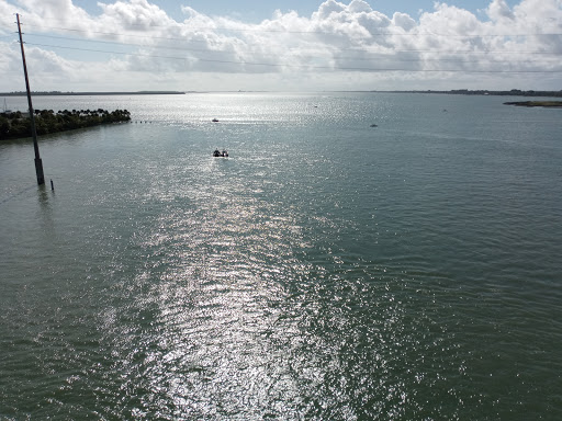 Aquarium «St. Lucie County Aquarium», reviews and photos, 420 Seaway Dr, Fort Pierce, FL 34949, USA