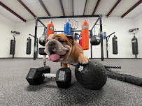 Bull Rig Boxing Fitness - Photo 3 - Car repair in Houston, TX, Houston