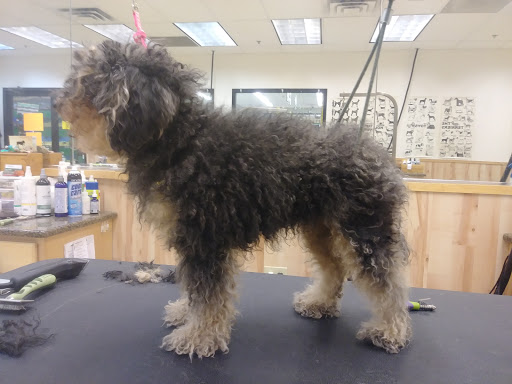 Pet Supply Store «Pet Supplies Plus», reviews and photos, 4751 Hiawatha Ave, Minneapolis, MN 55406, USA