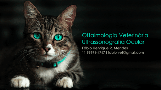 Oftalmologia Veterinária Guarulhos em Guarulhos - SP