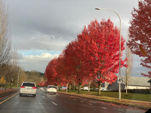 RV Storage Facility «Tanasbourne RV & Mini Storage», reviews and photos, 21300 NW Cornell Rd, Hillsboro, OR 97124, USA