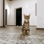 Photo n°5 de l'avis de Birgit.e fait le 17/07/2021 à 11:40 sur le  Agriturismo Passione Natura - Degustazioni di prodotti tipici CIS FG07106051000023185 à Vieste