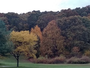 Neutaconkanut Hill Conservancy - photo 68