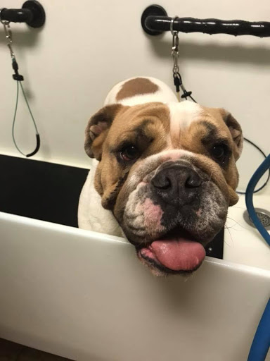 Pet Supply Store «EarthWise Pet Supply - Richardson», reviews and photos, 1310 W Campbell Rd #128, Richardson, TX 75080, USA