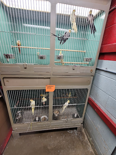 Pet Store «Southside Aquatics», reviews and photos, 2039 Pleasanton Rd, San Antonio, TX 78221, USA