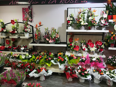 Allons Voir Si la Rose ... à Avranches