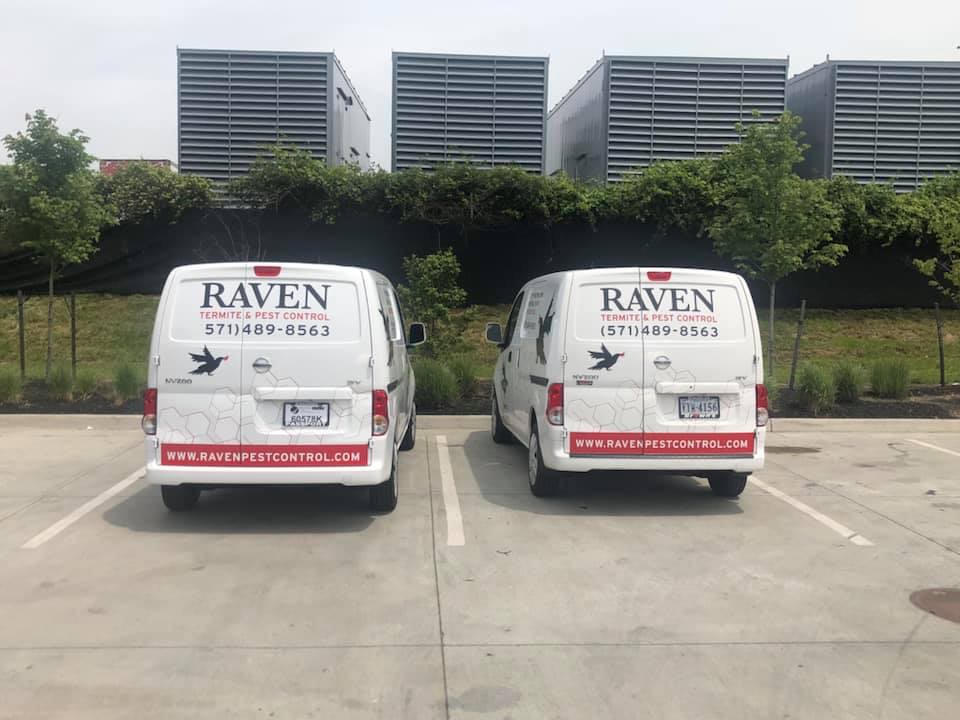 Raven Termite and Pest Control