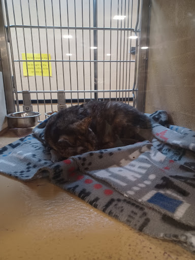 Pet Supply Store «PetSmart», reviews and photos, 2818 S Louise Ave, Sioux Falls, SD 57106, USA