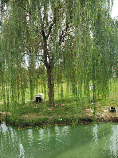 Vacation Home Rental Agency «Country Squire Lakes», reviews and photos, 8 Hoosier Dr, North Vernon, IN 47265, USA