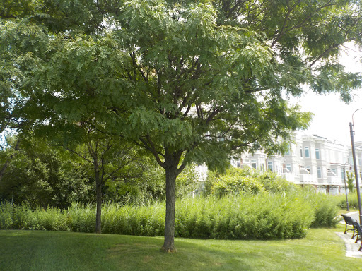 Park «Pierson Park», reviews and photos, 238 W Main St, Tarrytown, NY 10591, USA